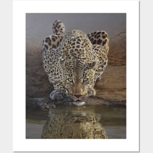 animal leopard Posters and Art